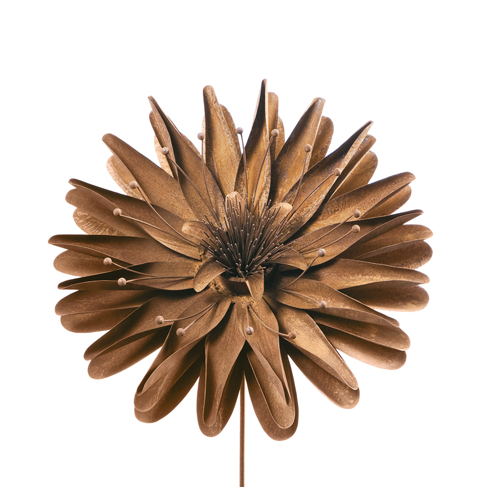 SCHOLTISSEK | KUNSTVOLLE EISEN-ACCESSOIRES | Eisenblume ASTER groß | ø ca. 30 cm SCHOLTISSEK | KUNSTVOLLE EISEN-ACCESSOIRES | Eisenblume ASTER groß | ø ca. 30 cm